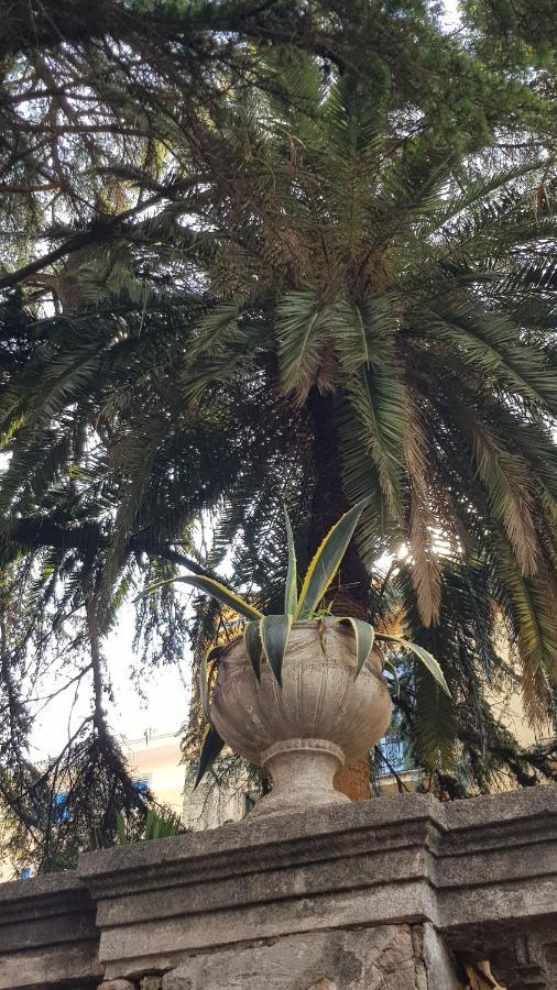 Cava deʼ Tirreni B&B Il Cedro מראה חיצוני תמונה